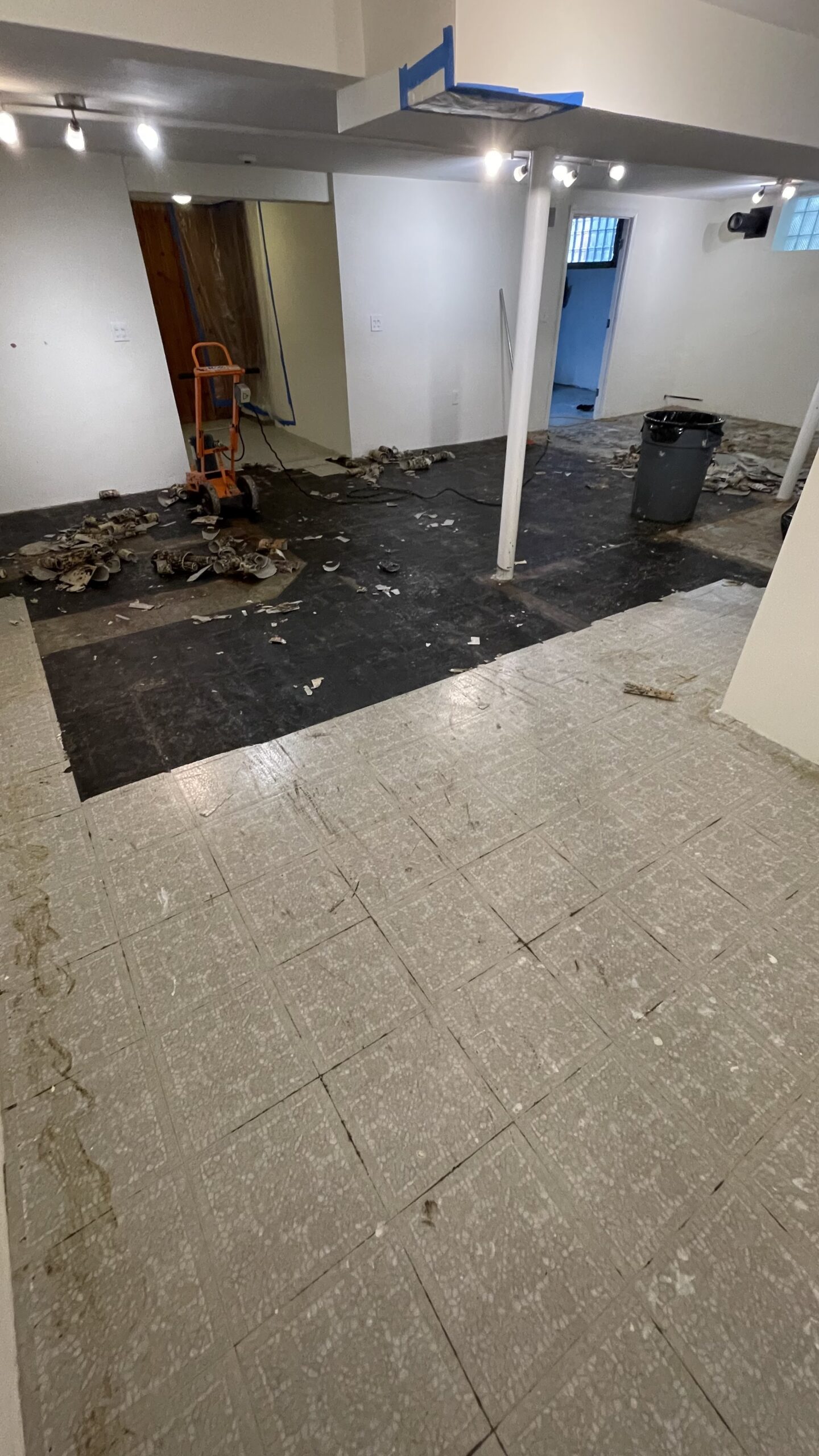 Flake Basement Multi Chip before (2)